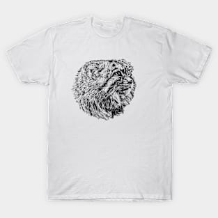 Manul-Pallas's cat T-Shirt